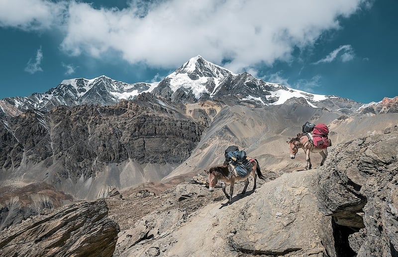 Mountain Adventures