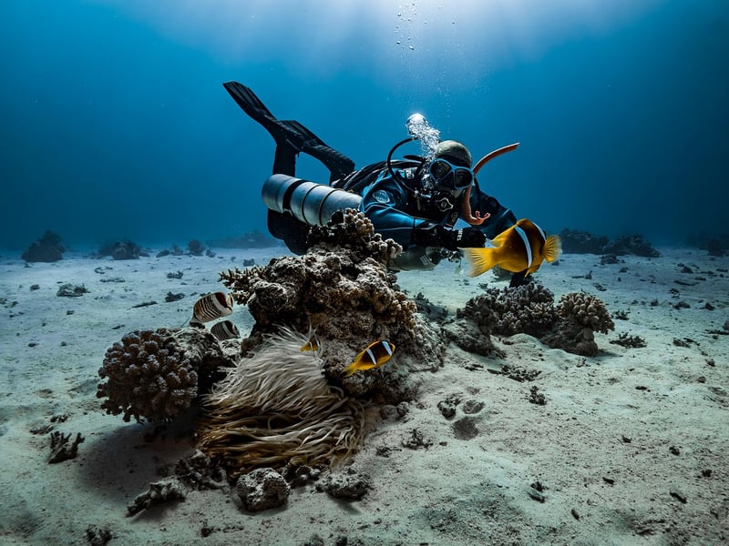 Cressi Palau Snorkeling Set